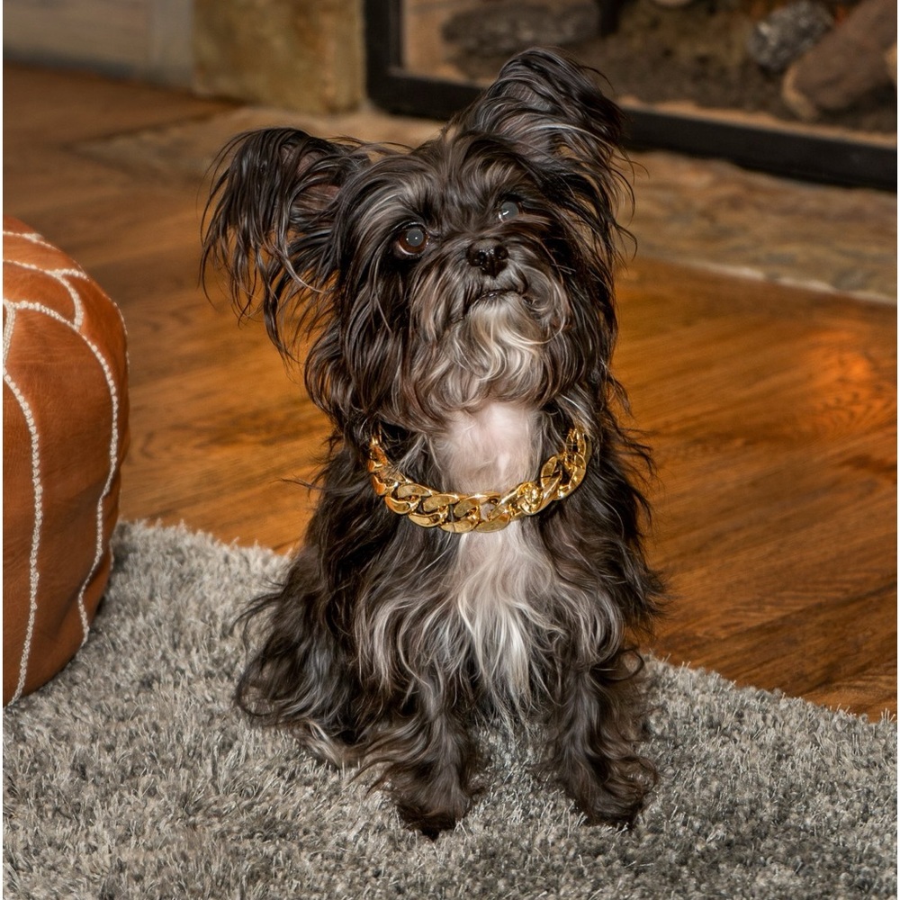 Pet Jewelry Gold Chain